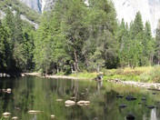 Yosemite National Park