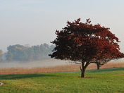 Valley Forge