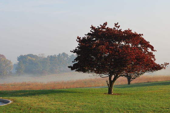 Valley Forge