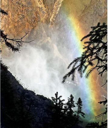 YELLOWSTONE