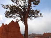 Bryce Canyon