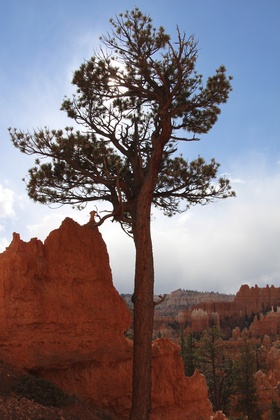 Bryce Canyon