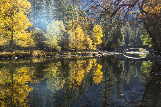 Yosemite National Park