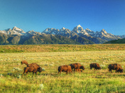 Grand Teton National Park