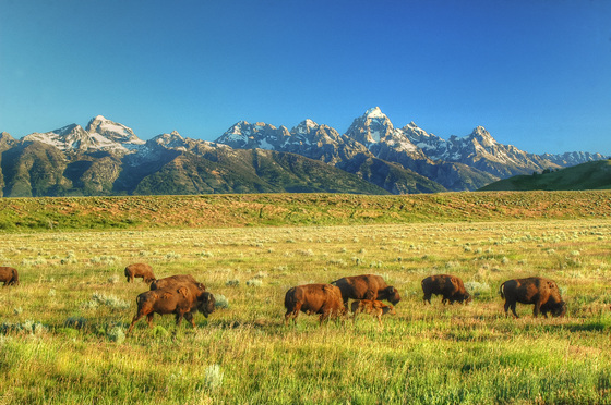 Grand Teton National Park