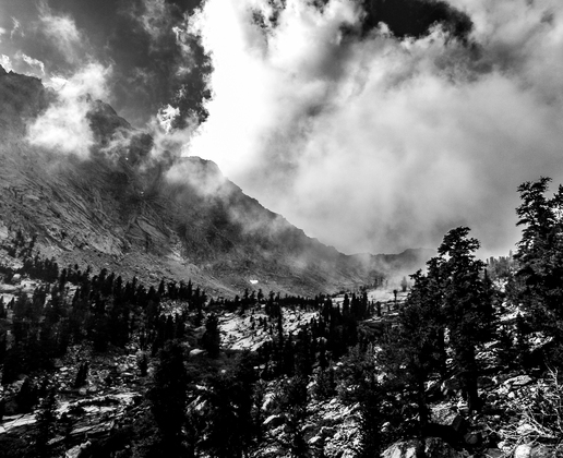Inyo National Forest