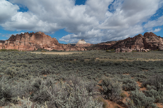 Zion National Park