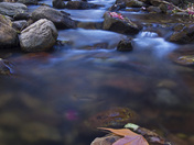 Tonto National Forest