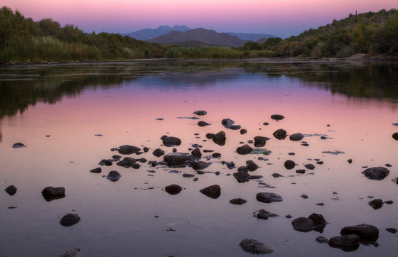 Tonto National Forest