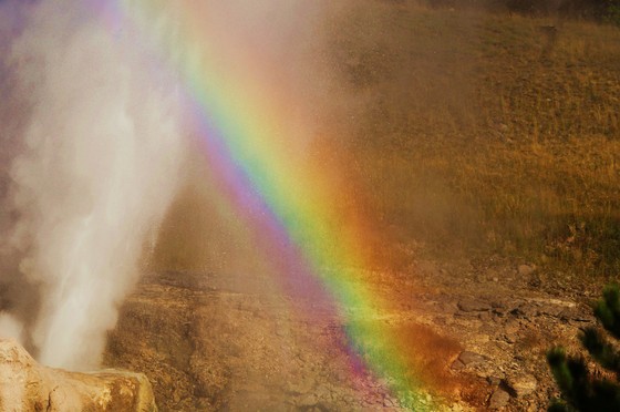 Yellowstone National Park