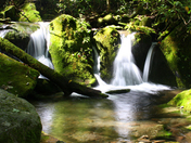 Great Smoky MountaIns National Park