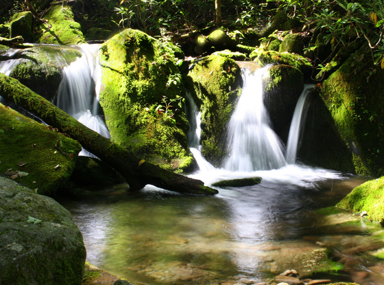 Great Smoky MountaIns National Park