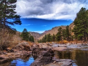 Roosevelt National Forest
