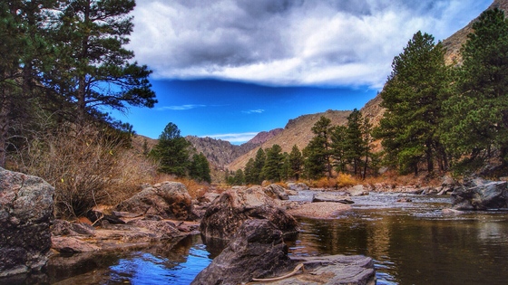 Roosevelt National Forest