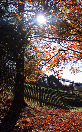 Cumberland Gap National Park