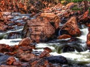Roosevelt National Forest