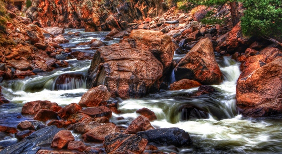 Roosevelt National Forest
