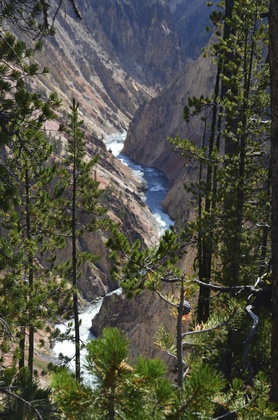 Yellowstone National Park