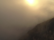 Los Padres National Forest