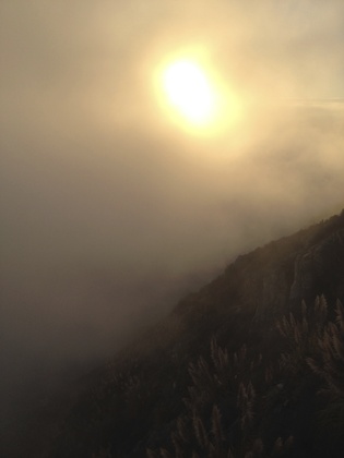 Los Padres National Forest