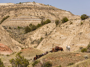 Theodore Roosevelt National Park