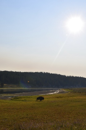 Yellowstone National Park