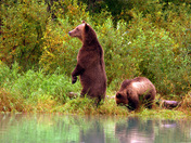 Lake Clark National Park