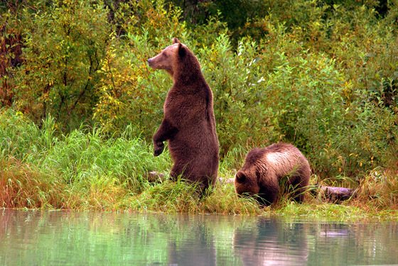 Lake Clark National Park