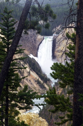 Yellowstone National Park