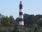 chincoteague national wildlife refuge
