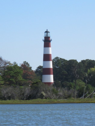 chincoteague national wildlife refuge
