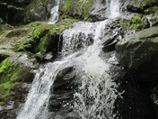 Shenandoah National Park