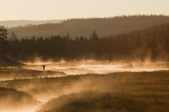 Yellowstone National Park