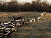 Wilson's Creek National Battlefield