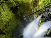 Olympic National Park