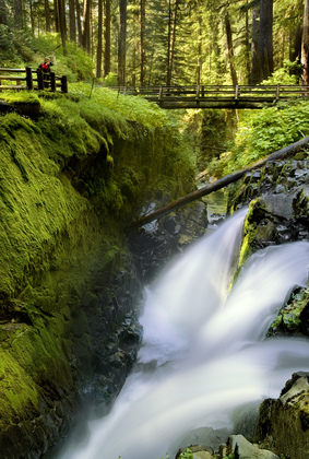 Olympic National Park