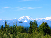 Denali National Park