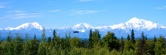 Denali National Park
