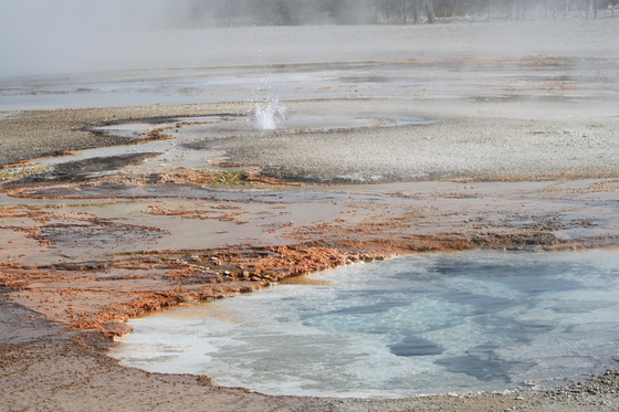 Yellowstone National Park