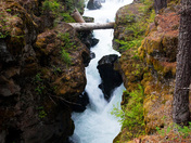 Rouge River National Forest
