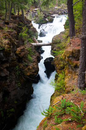 Rouge River National Forest