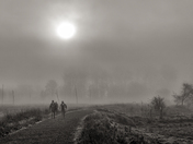 Nisqually National Wildlife Refuge