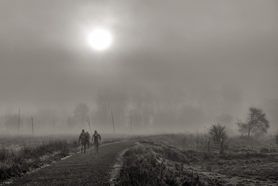Nisqually National Wildlife Refuge