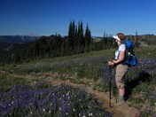 Goat Rocks Wilderness Area