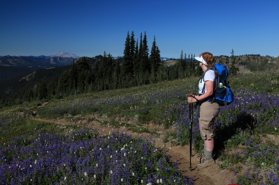 Goat Rocks Wilderness Area