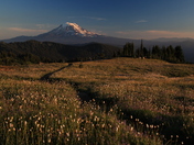 Gifford Pinchot National Forest