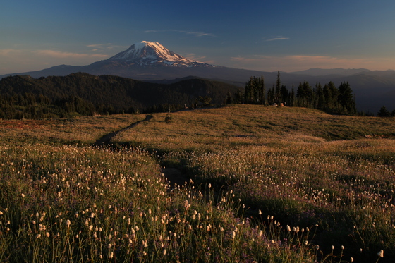 Gifford Pinchot National Forest