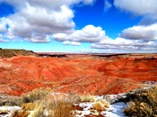 Petrified Forest National Park