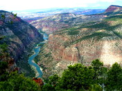Harpers Corner Trail
