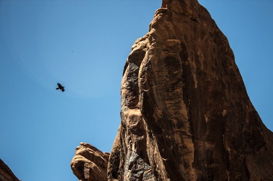 Arches National Park